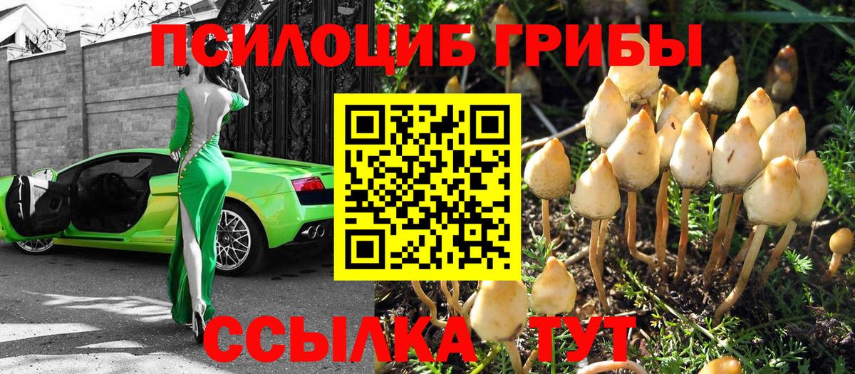 Галлюциногенные грибы GOLDEN TEACHER Сунжа